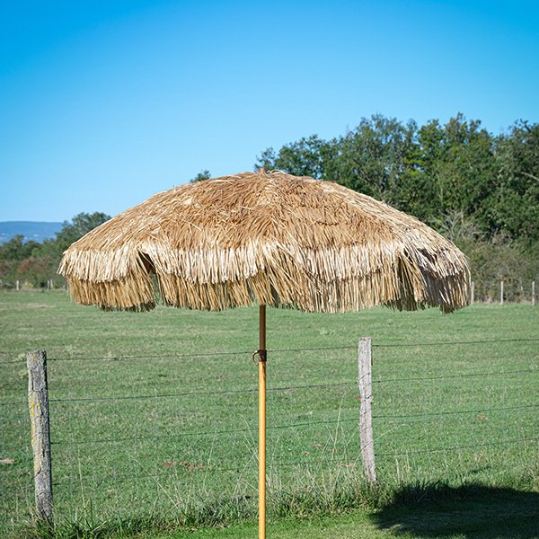 Image du produit 12