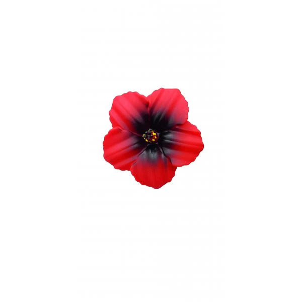 Image du produit 12